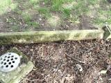 image of grave number 478757
